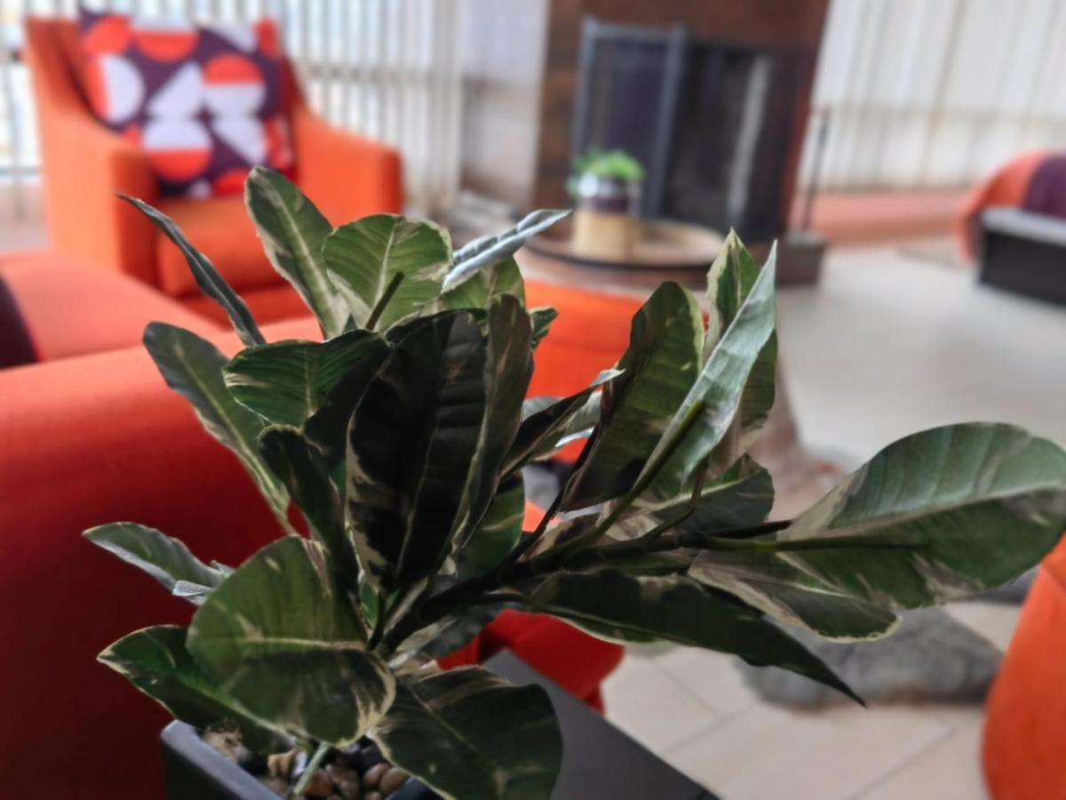 Casa Cacho Hotel Тихуана Екстериор снимка
